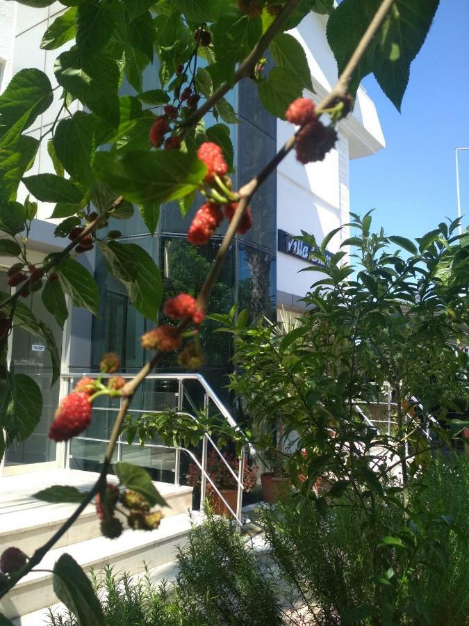 Villa Gizem Special Class Hotel Сиде Екстериор снимка